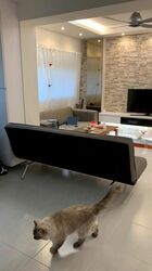 Blk 7A Commonwealth Avenue (Queenstown), HDB 4 Rooms #485696341